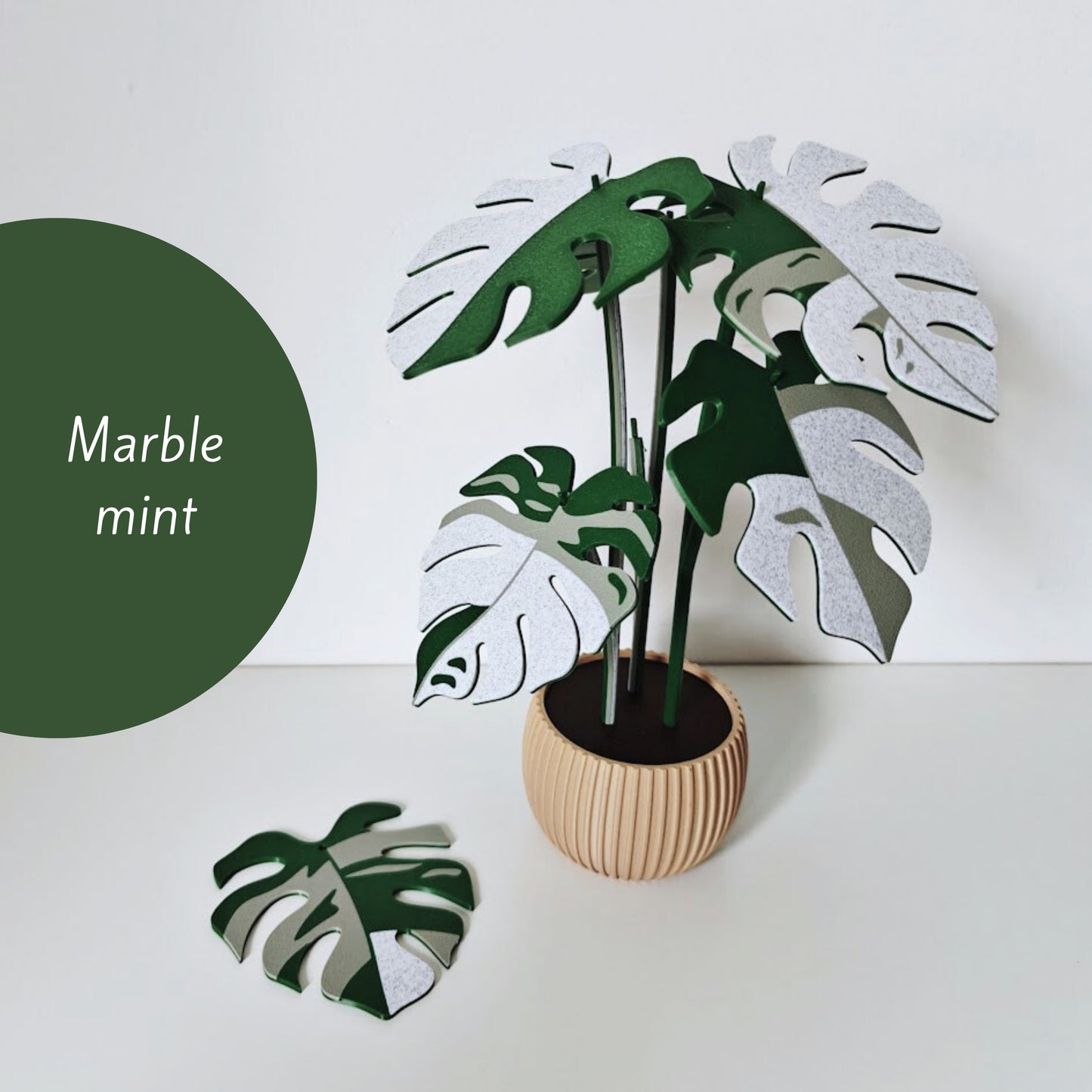 Set podmetača Monstera