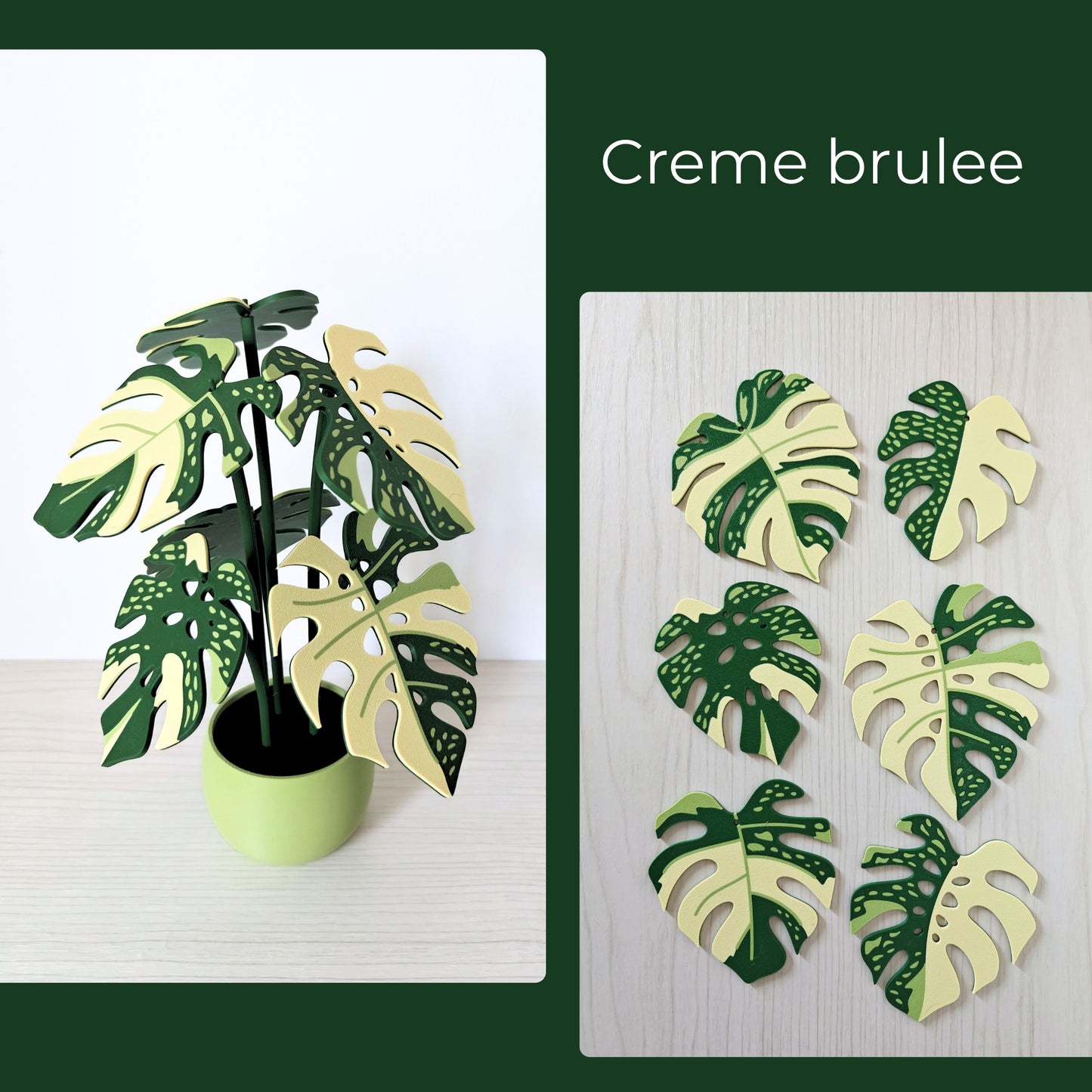 Set podmetača Monstera Thai 