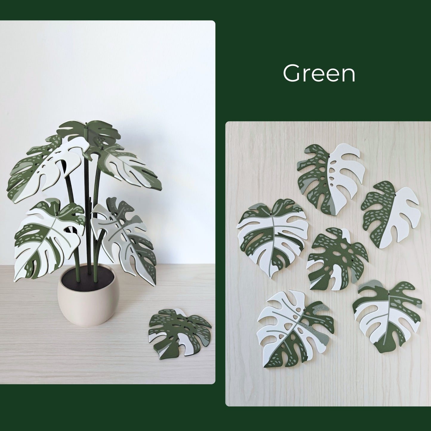 Set podmetača Monstera Thai 