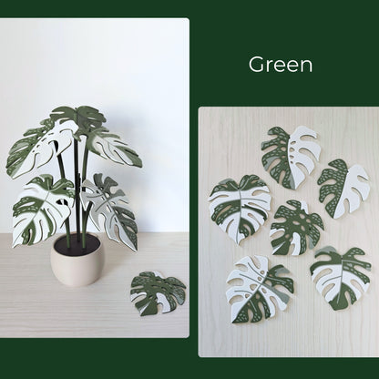 Set podmetača Monstera Thai 