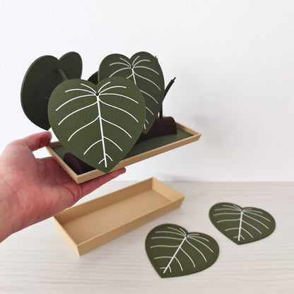Set podmetača Philodendron s posudicom za pohranu