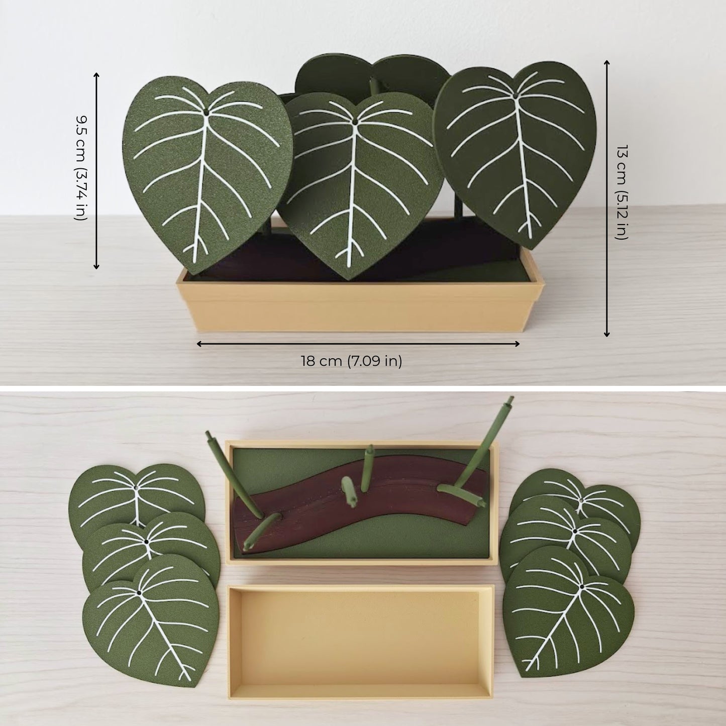 Set podmetača Philodendron s posudicom za pohranu