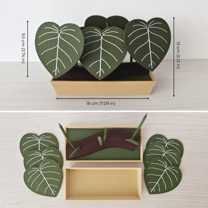 Set podmetača Philodendron s posudicom za pohranu