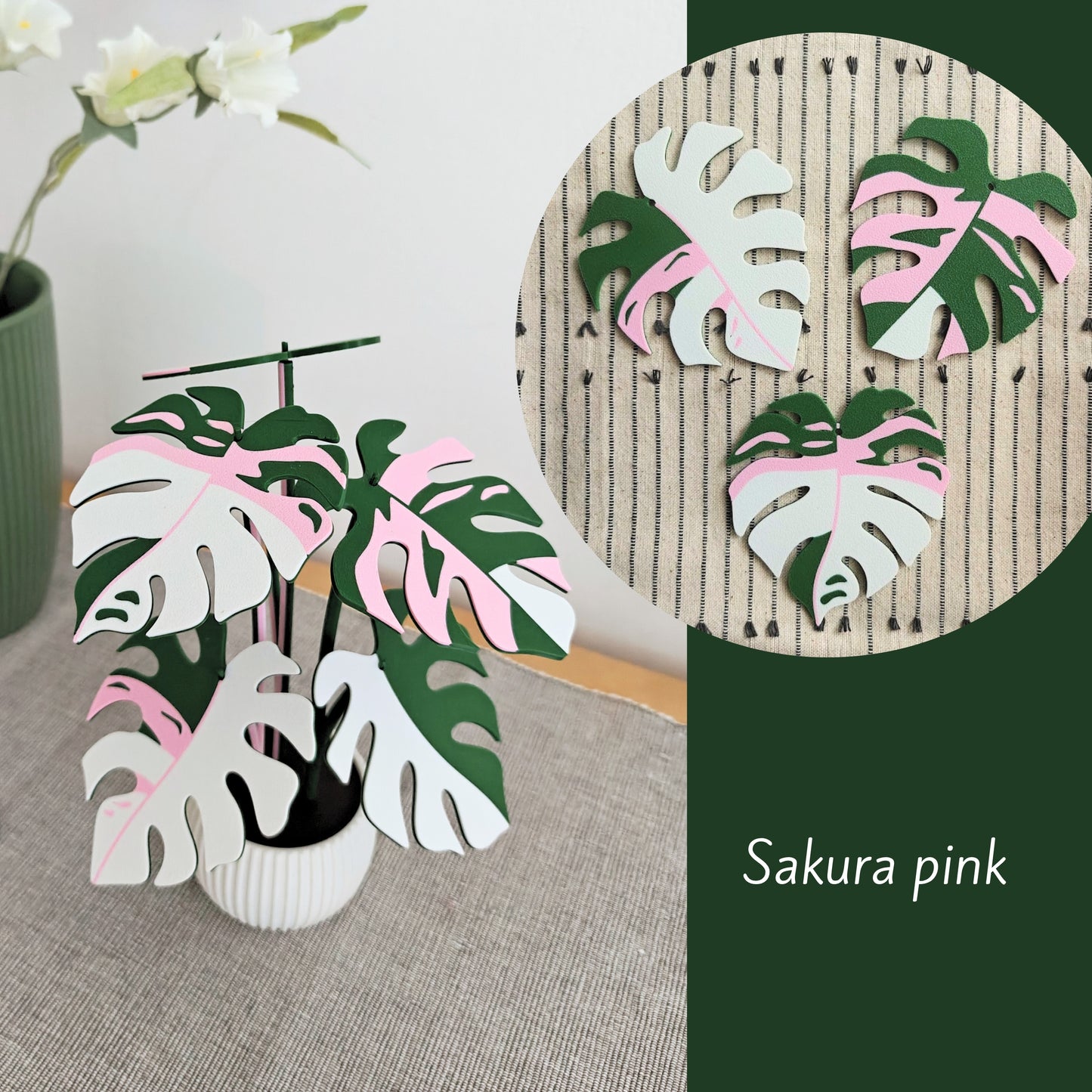 Set podmetača Monstera
