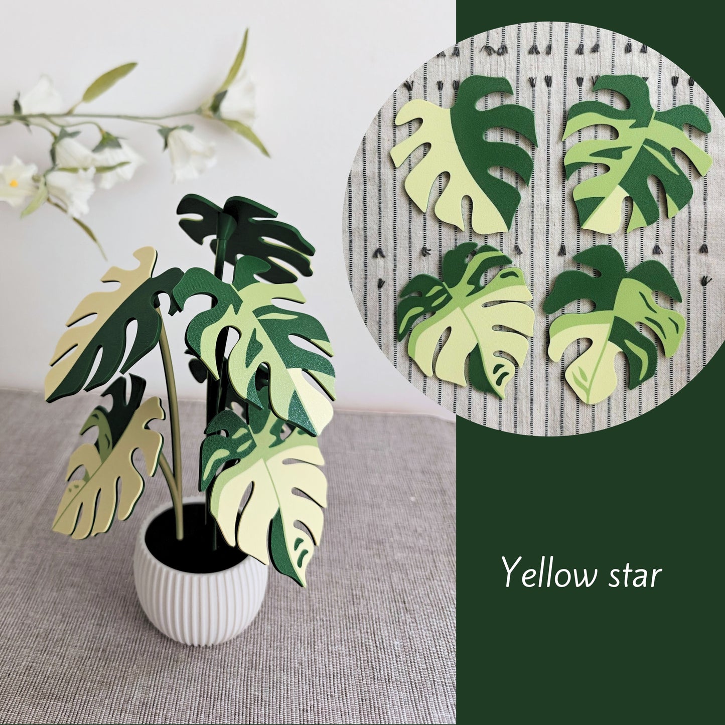 Set podmetača Monstera