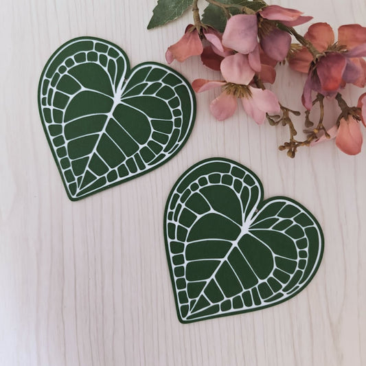 Set podmetača Anthurium Clarinervium 