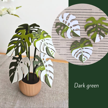 Set podmetača Monstera - listovi s rupicama