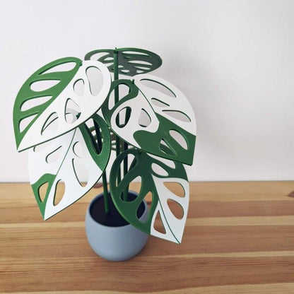 Monstera Adansonii Plant Coaster Set, Magnetic Leaves, Monstera Leaf Coaster Gift for Plant Lovers, 3D printed Monstera Variegated