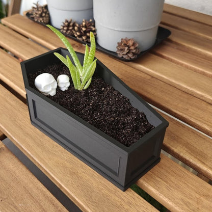 Coffin planter with soil and succulent, gothic plant pot styling on table