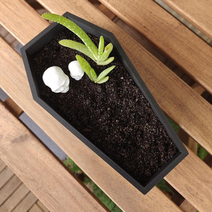 Coffin planter with soil and succulent, gothic plant pot styling on table