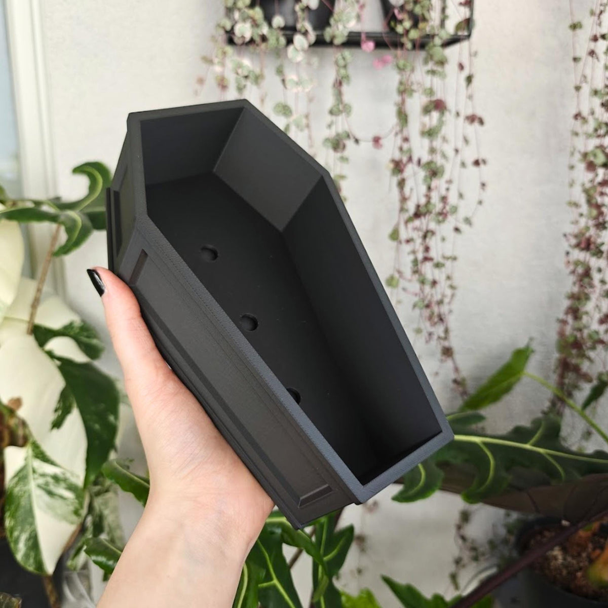 Coffin planter with drainage and tray held in hand, gothic plant pot for Halloween decor