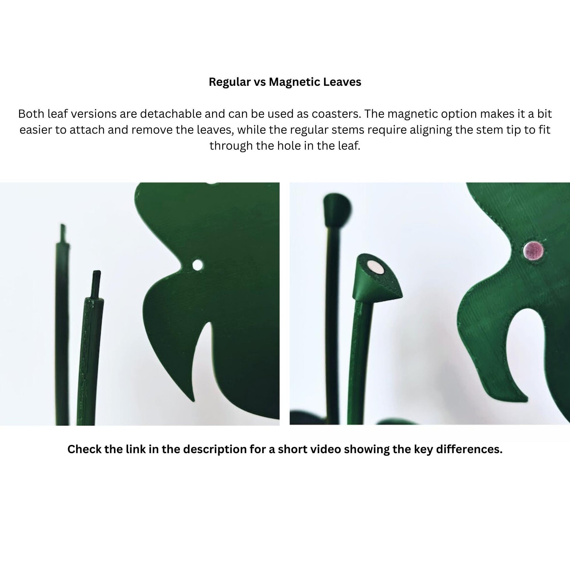Regular vs Magnetic Leaves
Both leaf versions are detachable and can be used as coasters. The magnetic option makes it a bit easier to attach and remove the leaves, while the regular stems require aligning the stem tip to fit through the hole in the leaf.
