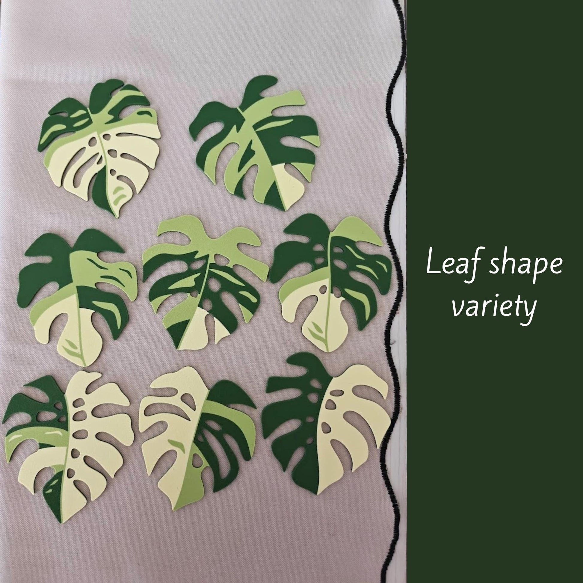Various Monstera leaf coaster shapes displayed on table.
