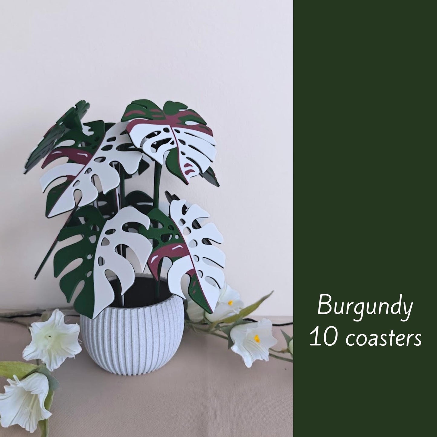 Burgundy Monstera leaf coaster set of 10.