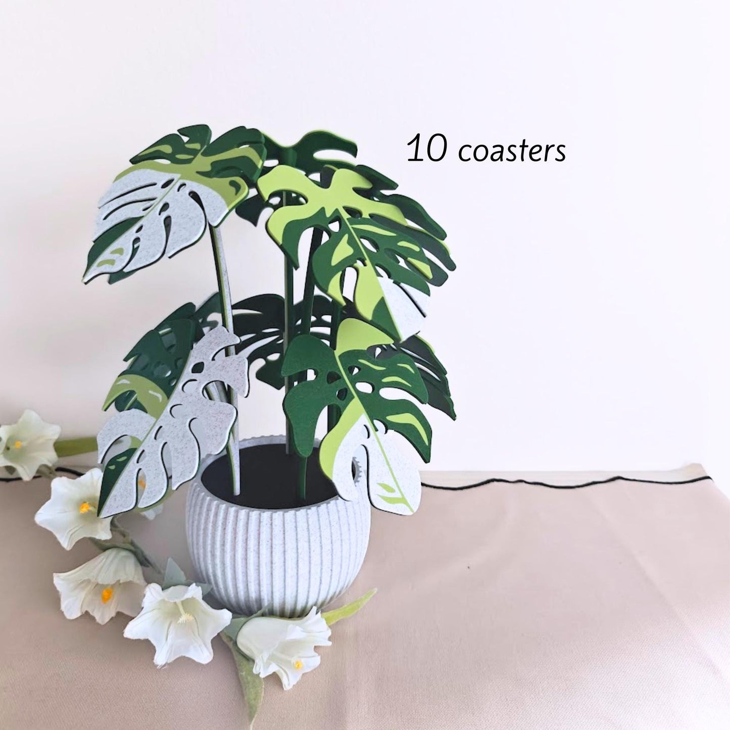Monstera leaf coaster plant set with 10 coasters.