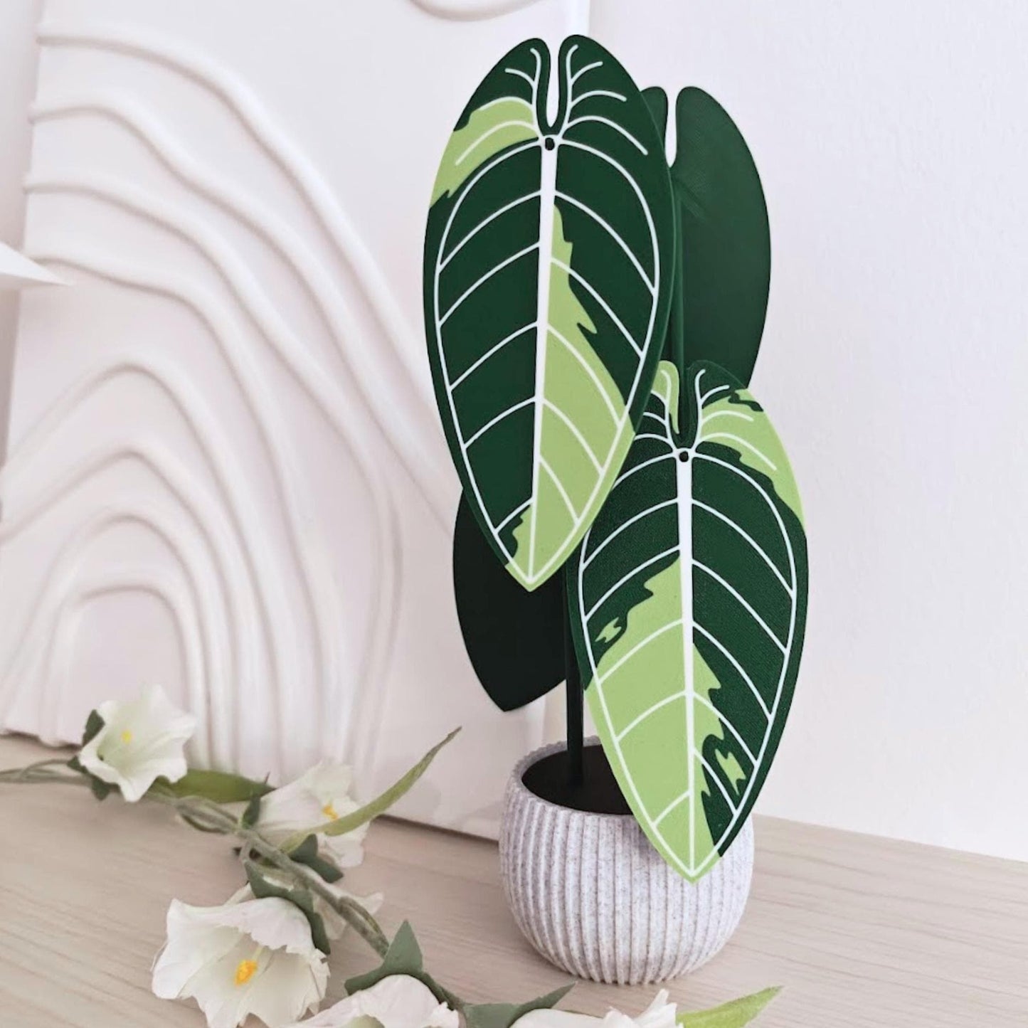 Anthurium Warocqueanum Variegated Plant Coaster Set, Queen of Anthuriums, Leaf Coasters, 3D printed Coasters, Anthurium Waro