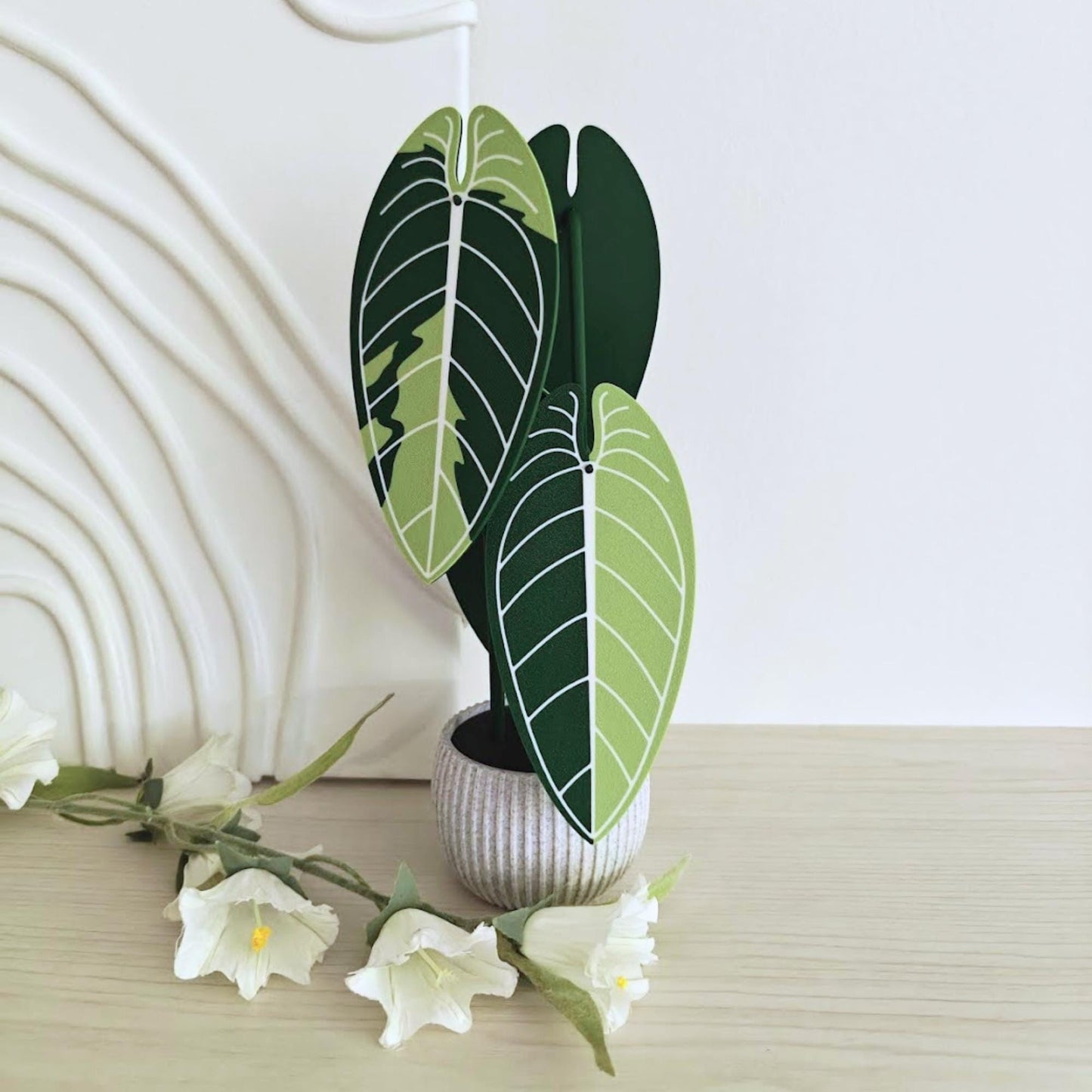 Anthurium Warocqueanum Variegated Plant Coaster Set, Queen of Anthuriums, Leaf Coasters, 3D printed Coasters, Anthurium Waro
