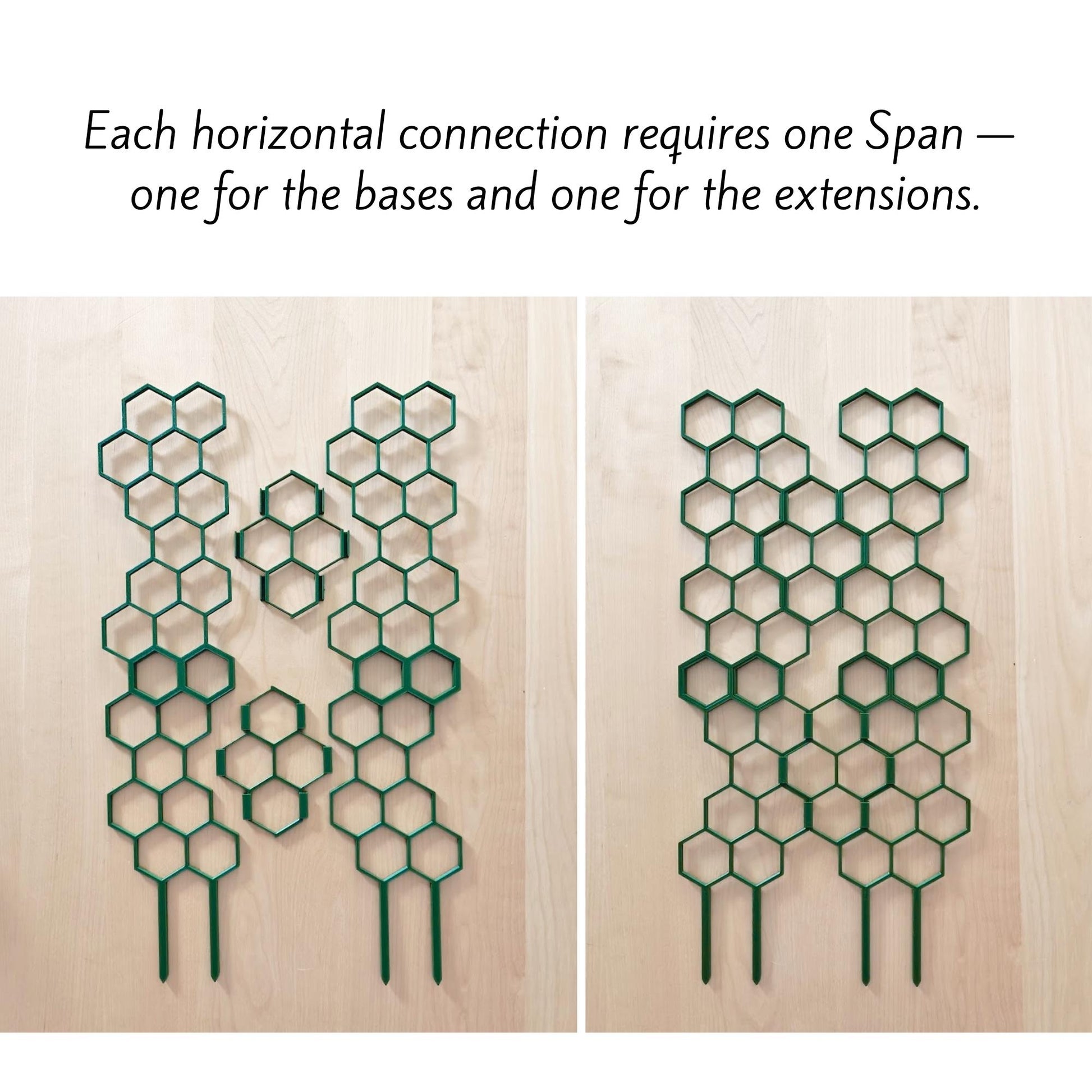Honeycomb trellis sections connected horizontally to create wider plant support
