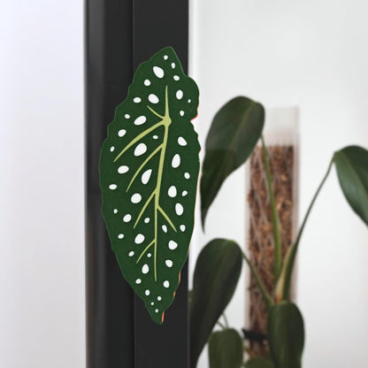 Begonia shaped handle mounted on Ikea Fabrikor cabinet