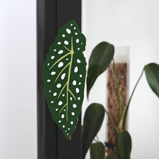 Begonia shaped handle mounted on Ikea Fabrikor cabinet