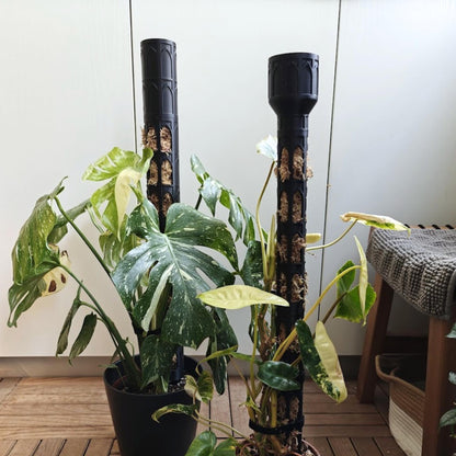 Different diameter moss poles in use