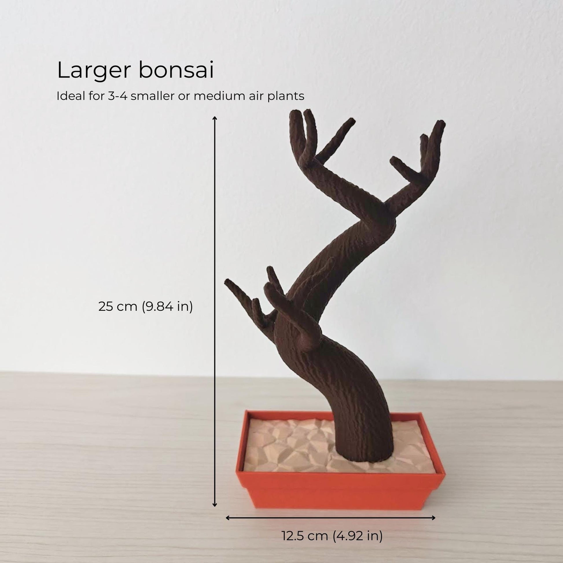 Larger bonsai air plant holder with dimensions shown (25 cm height, 12.5 cm base width)