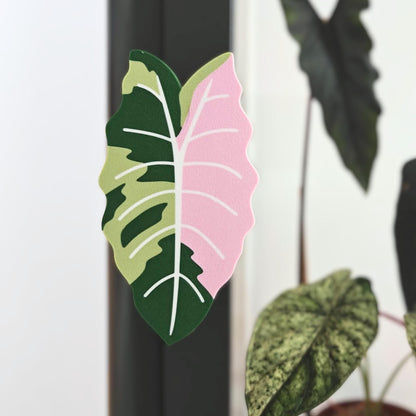 Alocasia Chantrieri shaped handle mounted on Ikea Fabrikor cabinet