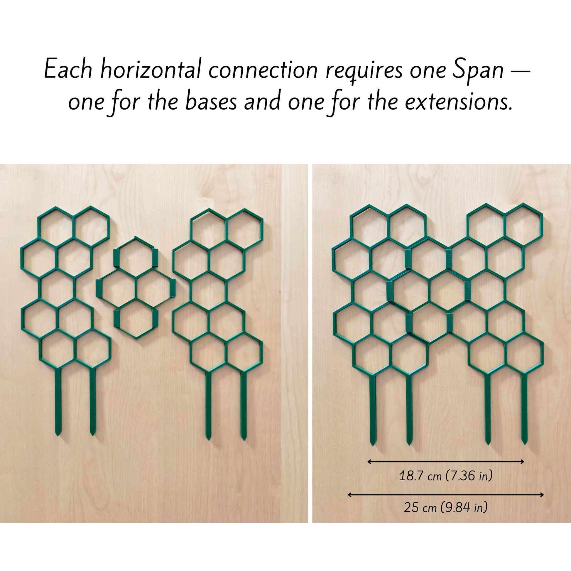 Honeycomb trellis sections connected horizontally to create wider plant support