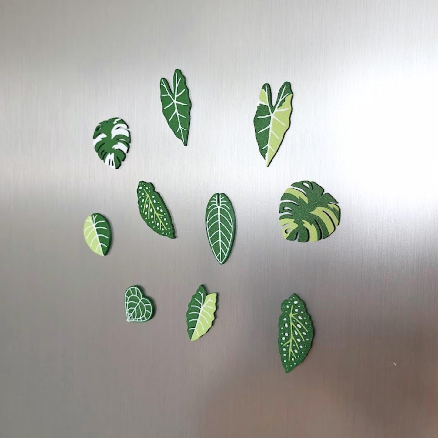 Set of 10 green leaf-shaped fridge magnets including monstera, alocasia, begonia and anthurium designs arranged on a magnetic surface