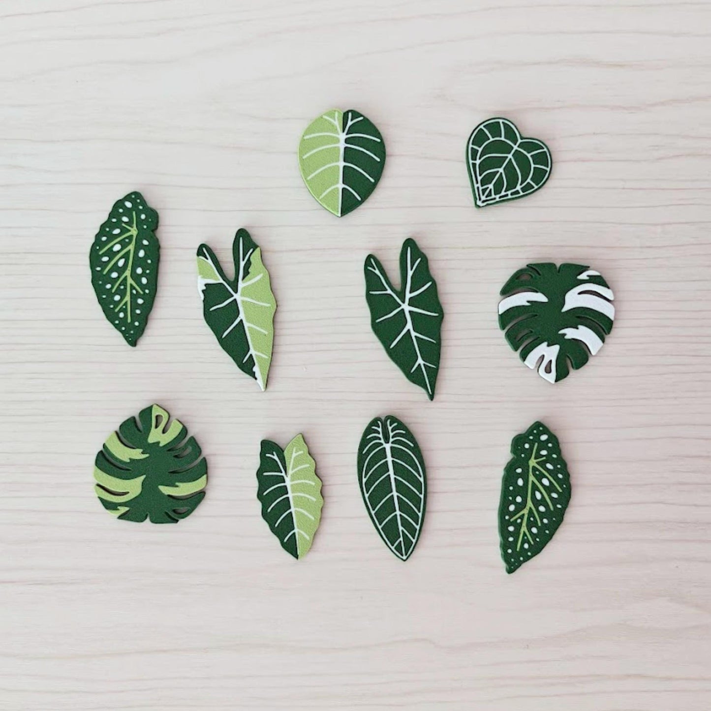 Set of 10 green leaf-shaped fridge magnets including monstera, alocasia, begonia and anthurium designs arranged on a wooden surface