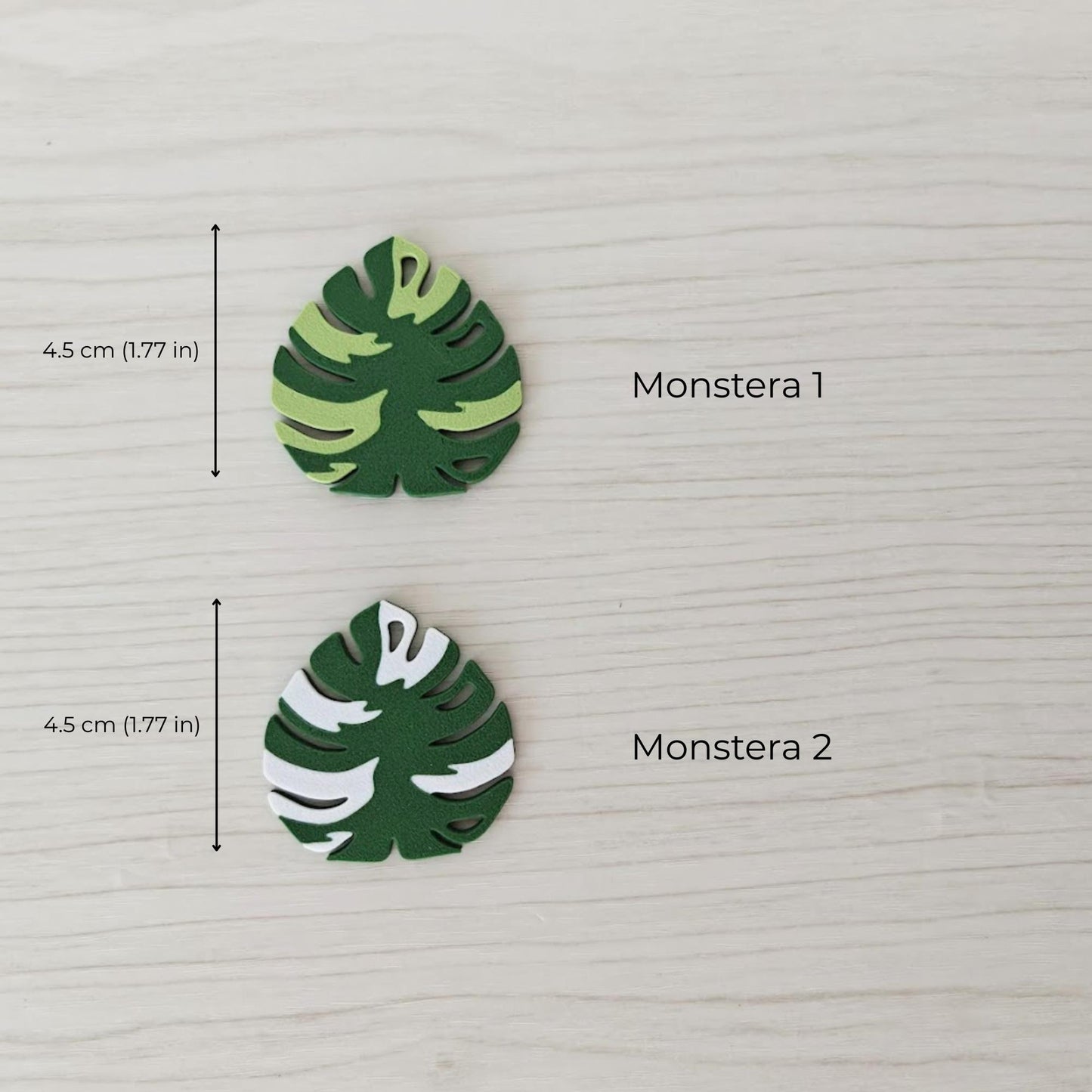 Monstera magnets