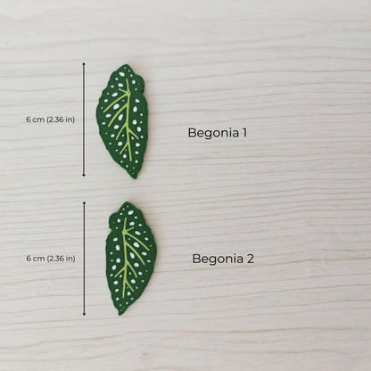 Begonia magnets
