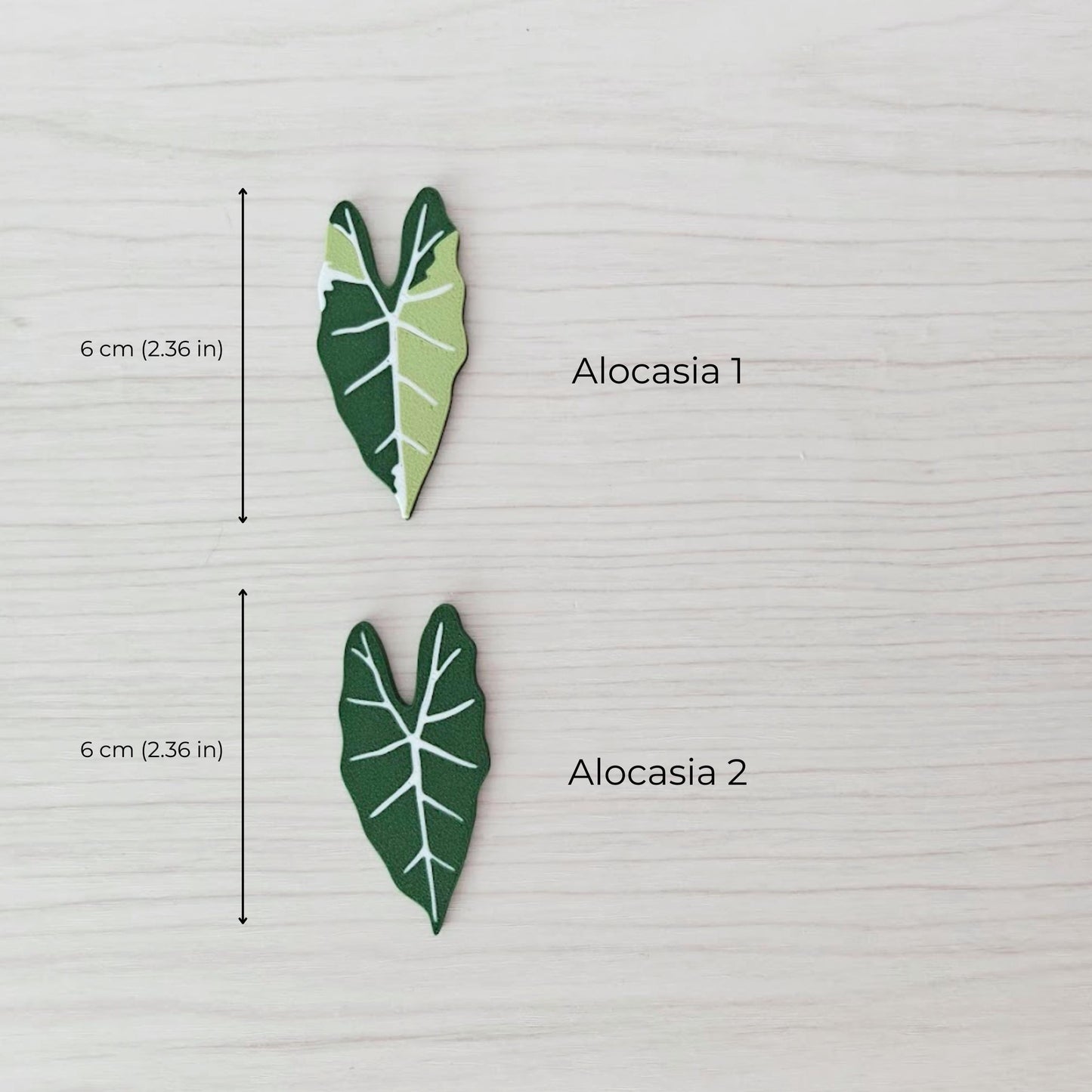 Alocasia magnets