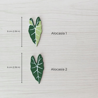 Alocasia magnets