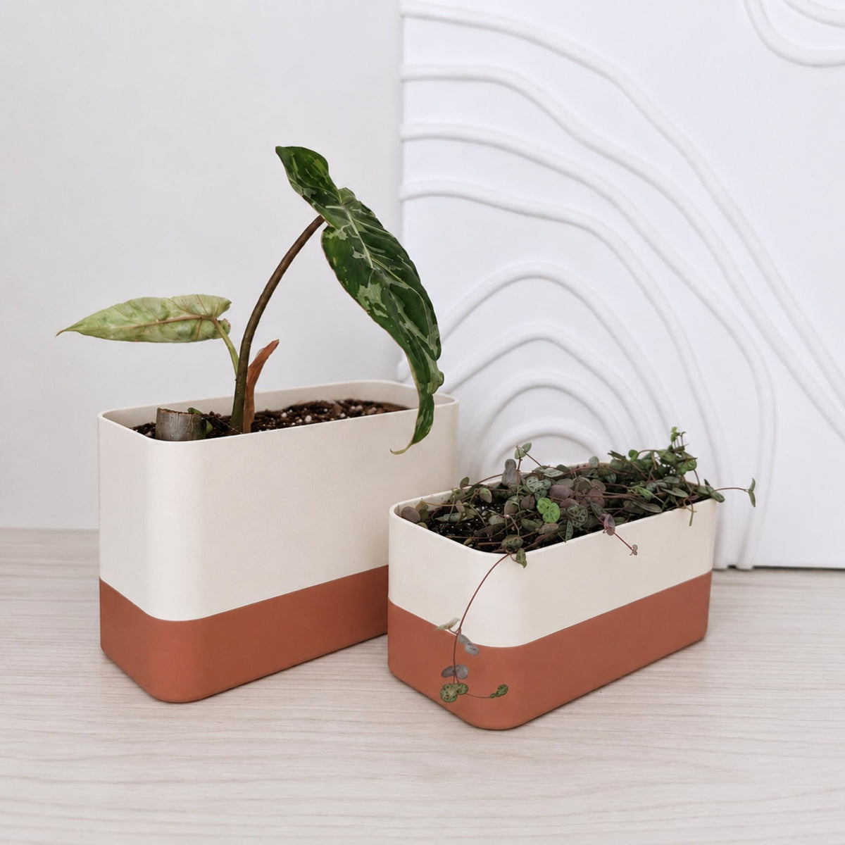 Two self watering planters with plants, minimalist home decor styling