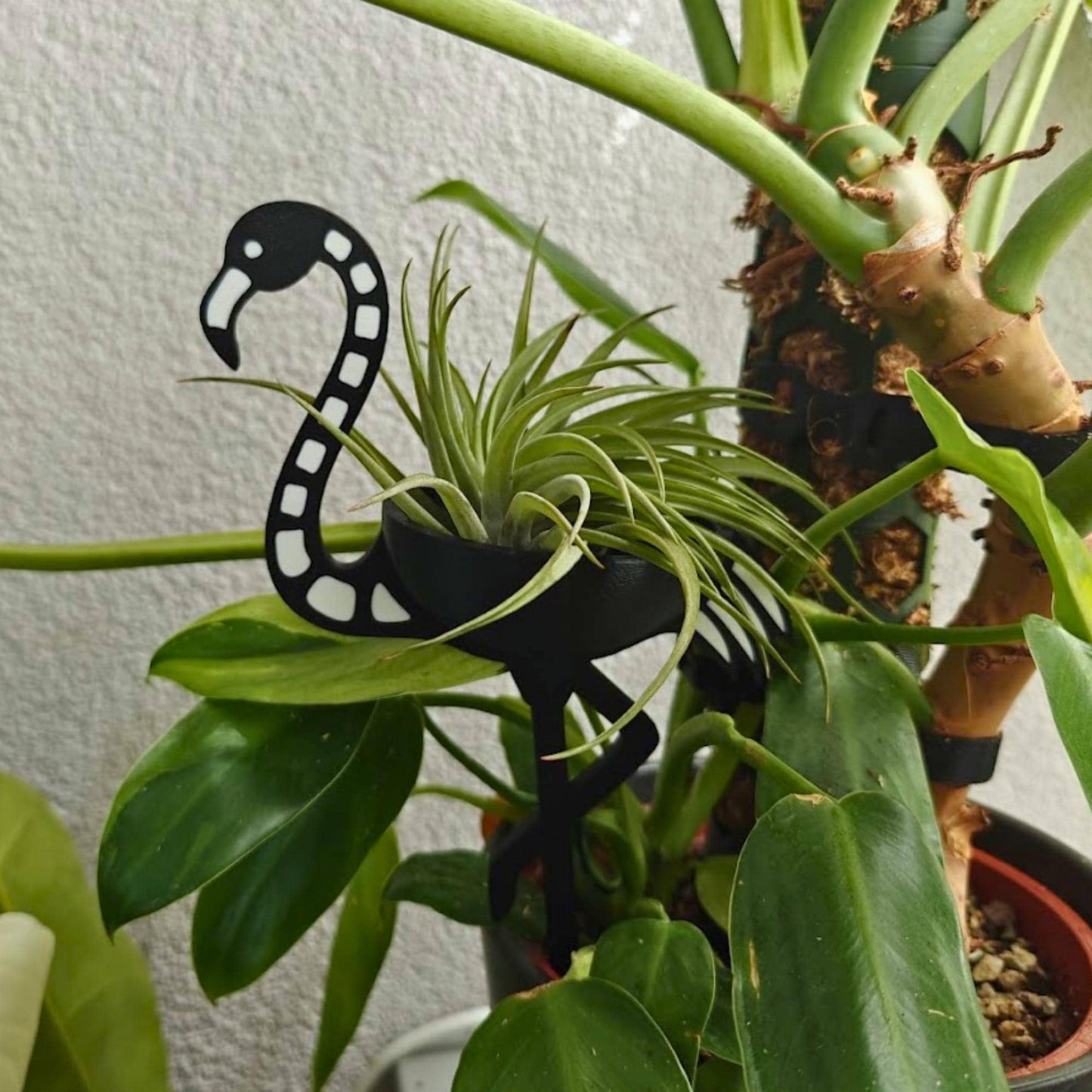 Skeleton flamingo holder used with a Tillandsia air plant in a real plant setup
