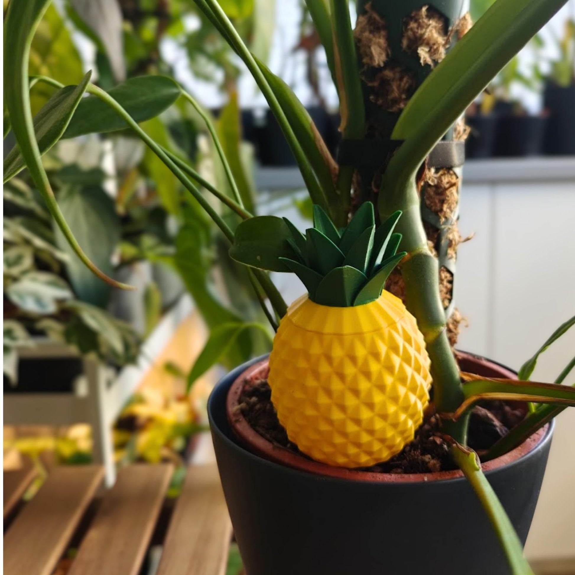 Pineapple-shaped watering spike placed in a potted houseplant with removable leafy lid attached.