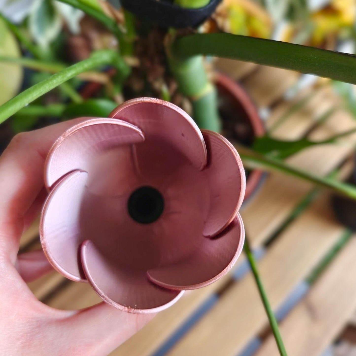 Close-up top view of the tulip watering spike opening, showing the hollow water reservoir inside the flower shape.