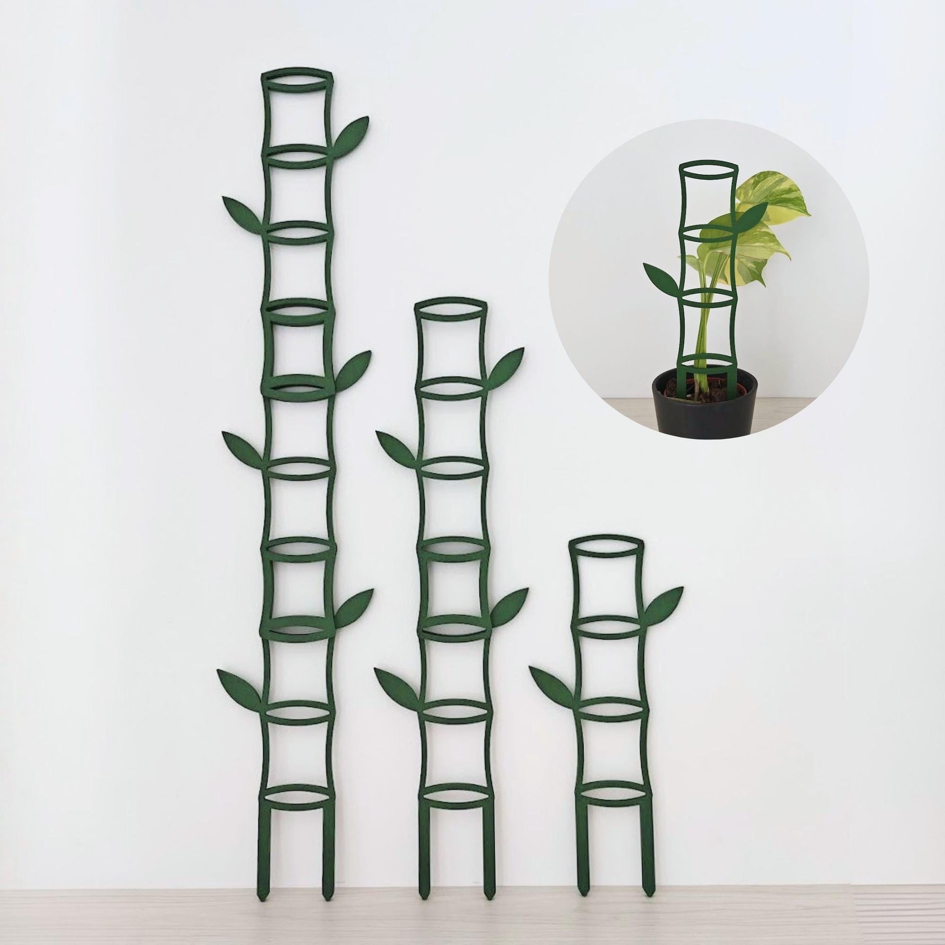 Modular bamboo-inspired trellis set with three extendable green plant supports in different heights beside a monstera plant in a black pot.