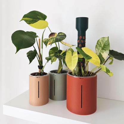 Tall planters with plants
