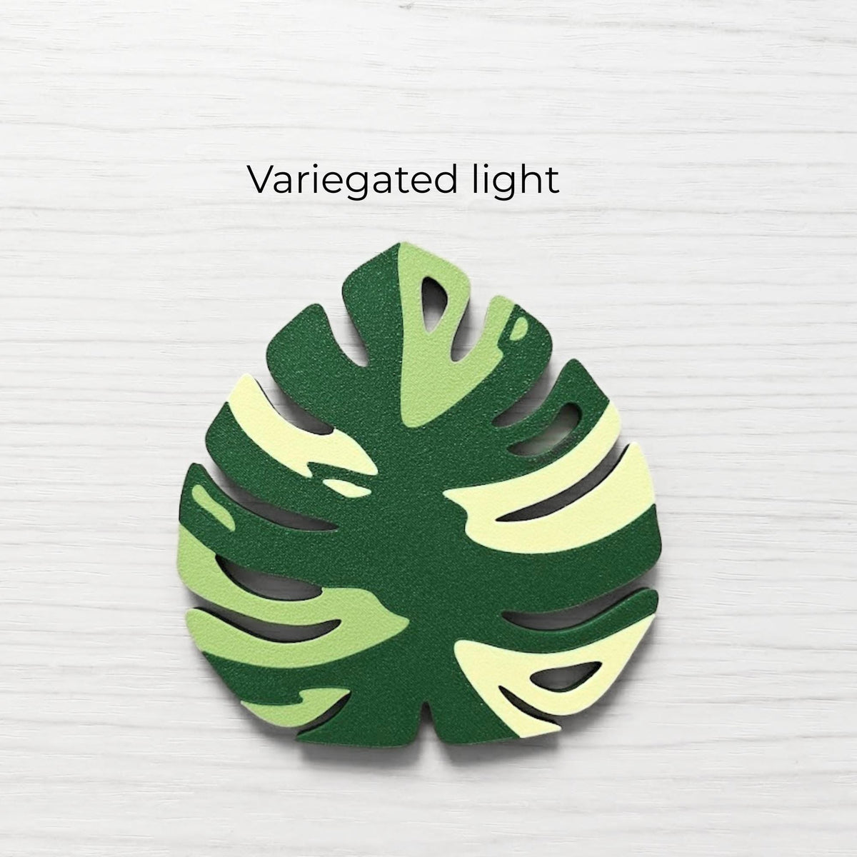 Front view of a Monstera handle - variegated light version