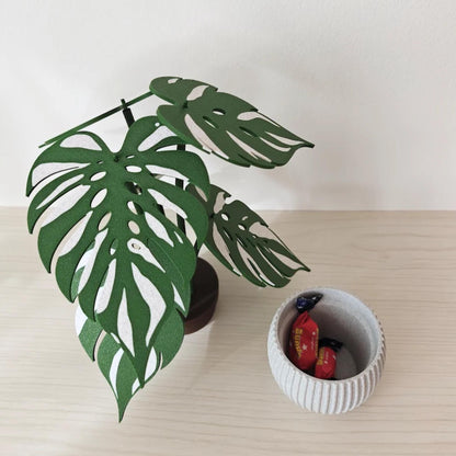 Monstera coaster plant with hidden pot storage compartment filled with small items