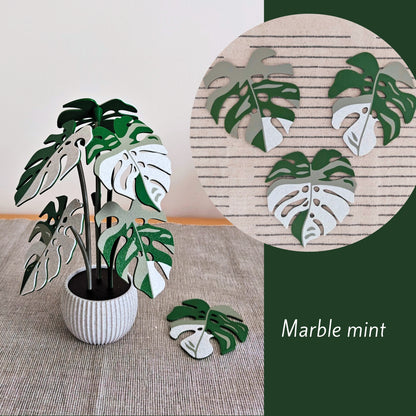 Set podmetača Monstera - listovi s rupicama