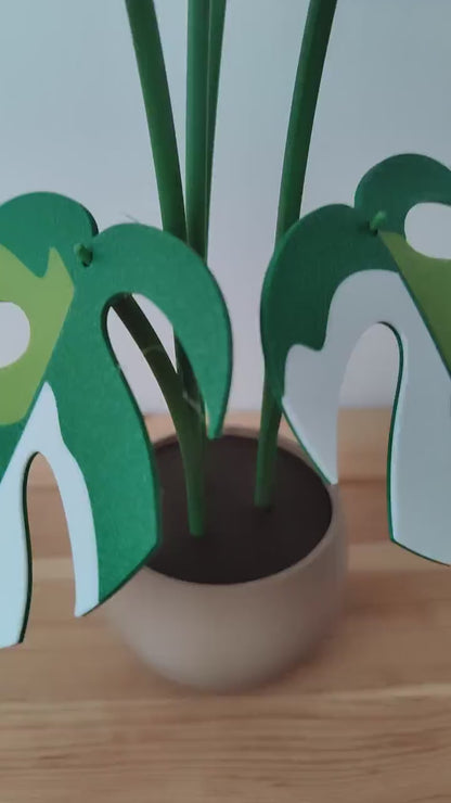 Monstera Minima Coaster Plant Raphidaphora, Monstera Coaster Set, Leaf Coaster, 3D printed Coasters