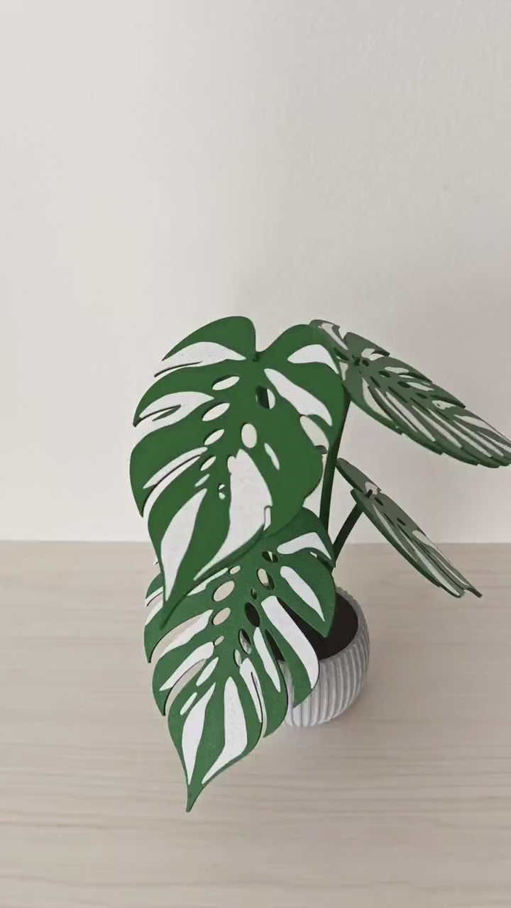 Monstera Devil Monster Coaster Set, 6 Leaf Coasters with Plant Display, Variegated Monstera Decor, 3D Printed Gift