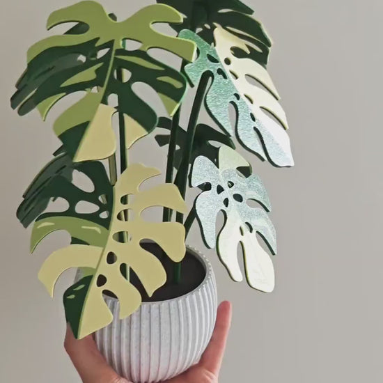 8 Coaster Monstera Plant, Eight MAGNETIC Leaves, Large Coaster Set, Gift for Plant Lovers, 3D printed Coasters