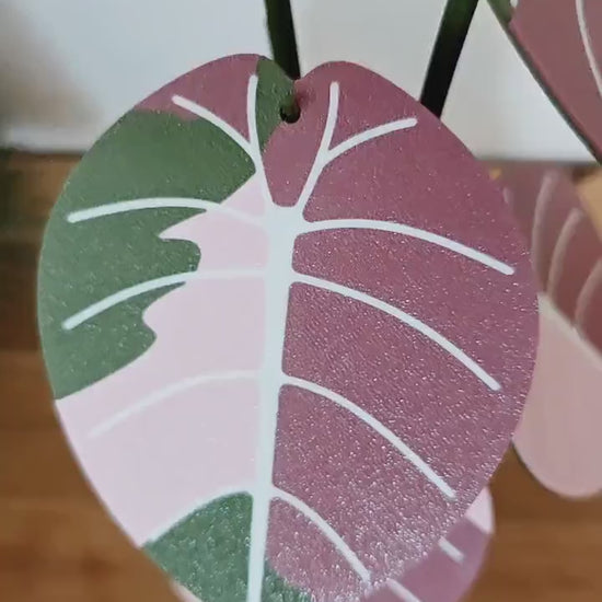 Jewel Alocasia Coaster Set, Leaf Coaster, Variegated Alocasia Black Velvet, Alocasia Melo, 3D printed Plant Coaster, Alocasia Print