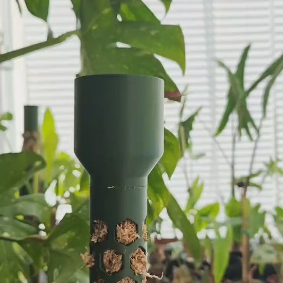Modular Moss Pole Ø 4 cm