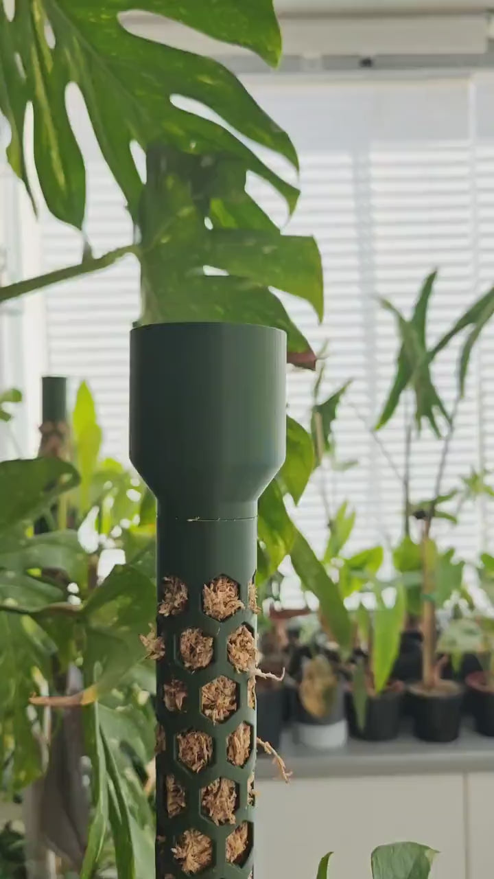 Modular Moss Pole Ø 4 cm