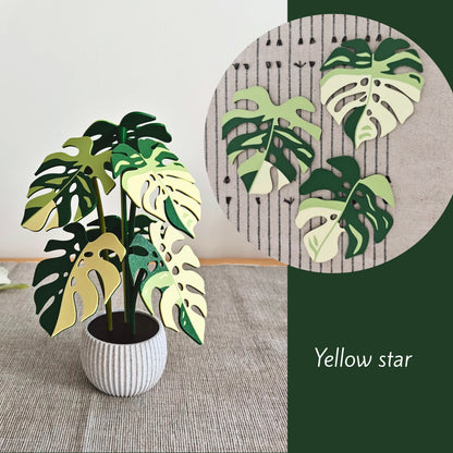 Set podmetača Monstera - listovi s rupicama